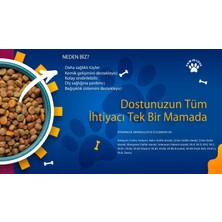 Pro Dog Individually Somonlu Premium Yetişkin Köpek Maması (15KG)