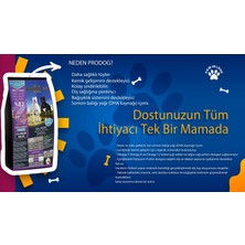 Pro Dog Individually Somonlu Premium Yetişkin Köpek Maması (15KG)