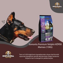Pro Dog Individually Somonlu Premium Yetişkin Köpek Maması (15KG)