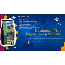 Pro Dog Individually Kuzu Etli & Somonlu Yetişkin Ultra Premium Köpek Maması (15KG)