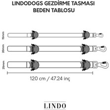 Lindo Ginger Man Köpek Gezdirmetasması Medium