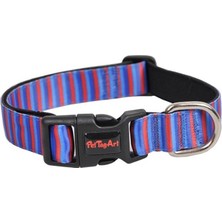 Dali's Çizgili Köpek Boyun Tasması S Boy 25-40 cm