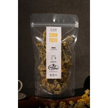 Baharat Dükkanı Civan Perçemi 30 gr