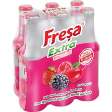 Freşa Extra Orman Meyve (200 ml x 24 Adet)