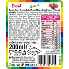 Freşa Extra Orman Meyve (200 ml x 24 Adet)