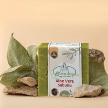 Pleione Soaps Aloevera Sabunu