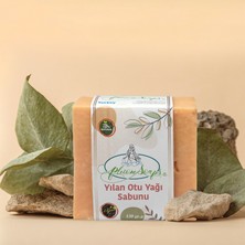 Pleione Soaps Yılanotu Yağı Sabunu