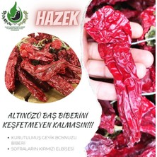 Hazek Kadın Kooperatifi Altınözü Baş Biberi