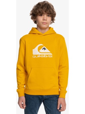 Quiksilver Big Logo Erkek Çocuk Sweatshirt EQBFT03720