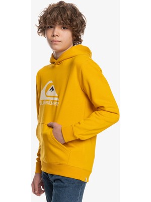 Quiksilver Big Logo Erkek Çocuk Sweatshirt EQBFT03720