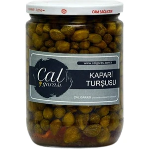 Çal Garası Çalgarası Kaparı Turşusu 300 gr