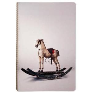 Nesin Yayınevi Nesin Defter - Sallanan At Gümüş