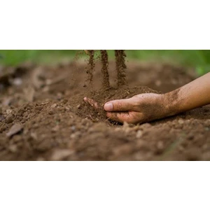 25 Lt (15KG) %100 Doğal Tınlı Bahçe Toprağı (3'te 1 Keçi Gübresi Katkılı)