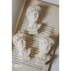 Cage Art Studio David Candle Doğal Dekoratif Kokulu Mum