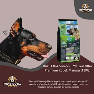 Pro Dog Individually Kuzu Etli & Somonlu Yetişkin Ultra Premium Köpek Maması (15KG)