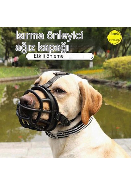 Anti-Isırık Köpek Ağızlığı (Yurt Dışından) fiyatları