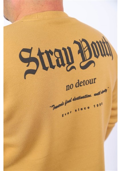 Erkek Sweat Stray South 22730 Vizon fiyatları