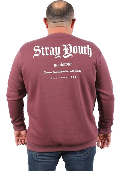 Erkek Sweat Stray South 22730 Lıla indirimleri