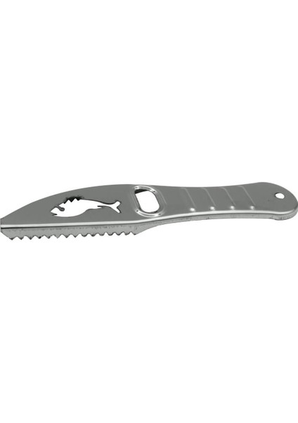 Paslanmaz Inox Krom Balık Pulu Temizleyici
