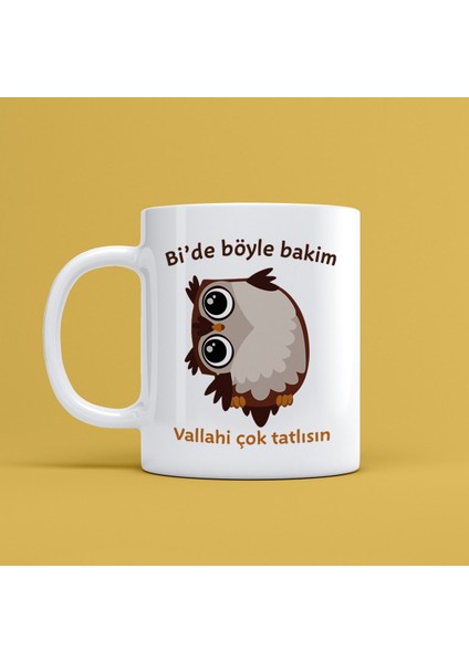Sevimli Baykuş Vallahi Çok Tatlısın Porselen Kupa Bardak