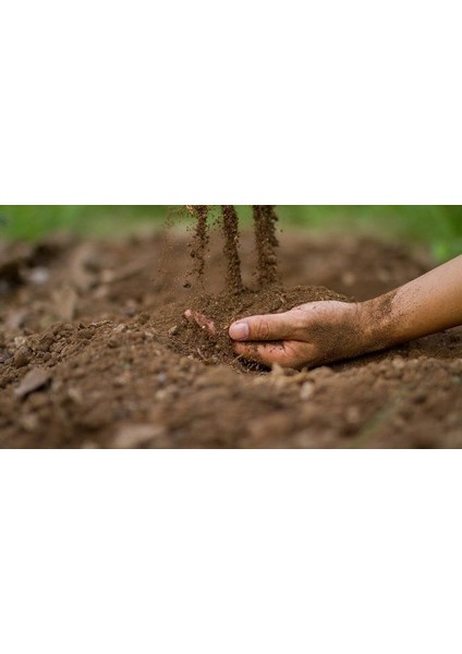 25 Lt (15KG) %100 Doğal Tınlı Bahçe Toprağı (3'te 1 Keçi Gübresi Katkılı)