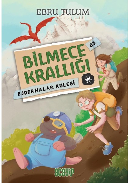 Ejderhalar Kulesi / Bilmece Krallığı - 3 - Acayip Kitaplar