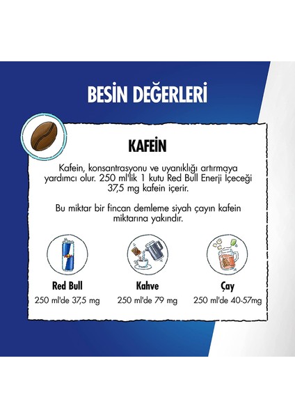 Enerji Içeceği 355 ml (24'lü Paket, 355 ml x 24 Adet)