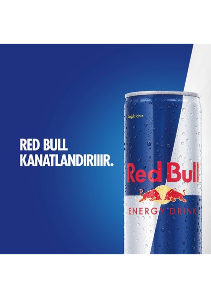 Enerji Içeceği 355 ml (24'lü Paket, 355 ml x 24 Adet)