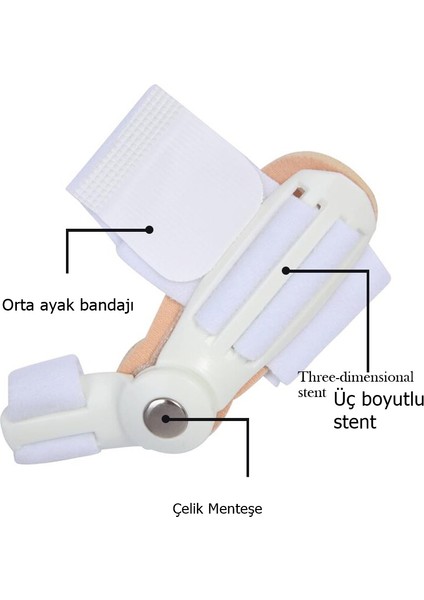 Ayak Baş Parmak Kemik Koruyucu Bunyon Kemik Çıkıntı Düzeltici Makaralı