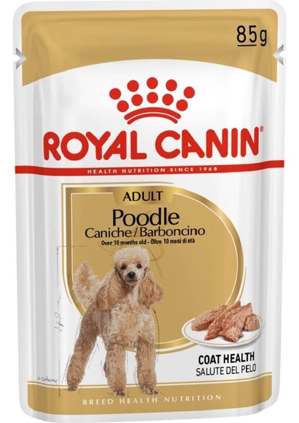 Poodle Yetişkin Köpek Konservesi 85 gr