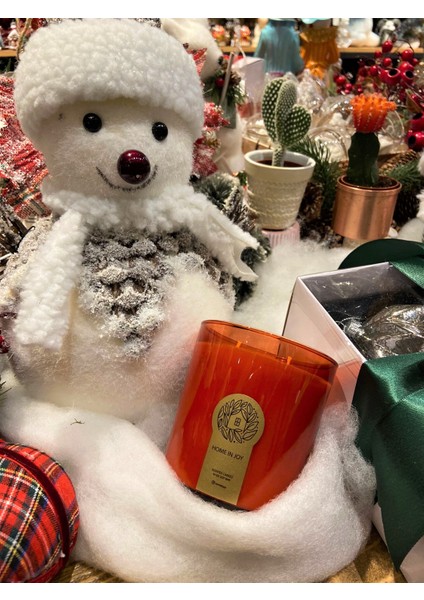 Kokulu Mum Soya 280G Yeni Yıl Serisi fiyatları