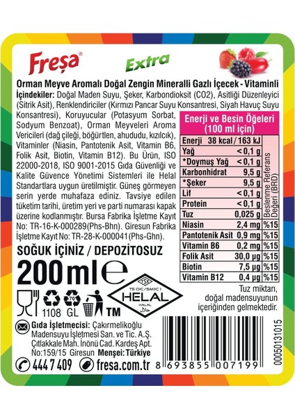 Extra Orman Meyve (200 ml x 24 Adet)