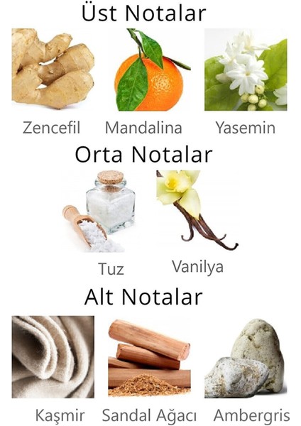 Omodeo 3'Lü Parfümlü Deodorant Seti Stcc004701