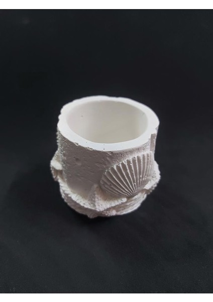 Deniz Kabuklu Saksı Kalemlik 9x6,5cm