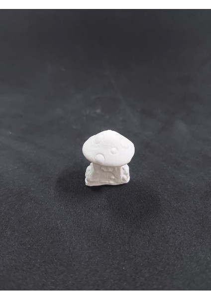 Mantar Ev No:4 3x2,5cm