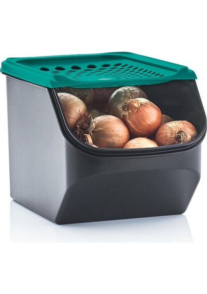 Kiler Midi 3 Lt Turkuaz Patates Soğan Saklama Kabı