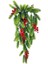 Yapay Çiçek Saksıda Sarkan Kokina Yılbaşı Çiçeği Red Berry 60CM 4