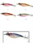 3003 Kalamar Zokası 6cm Excelance Squid 1