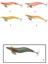 3025 Kalamar Zokası 12CM Different Squid Size 3.5 1