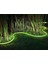 Hue Outdoor Renkli Akıllı LED Şerit 2mt 4