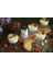 Organik Soğuk Sıkım Hindistan Cevizi Yağı %100 Doğal (300 Ml) 3