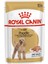 Poodle Yetişkin Köpek Konservesi 85 gr 1