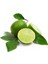 2 Yaş Tüplü Çekirdeksiz Meksika Lime Limon Fidanı 1