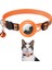 Airtag Tracker Kedi Çan Tasması (Yurt Dışından) 1