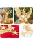 Christmasgold Toz Akrilik Melek Kolye Süs(Yurt Dışından) 3