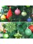 3 Kutu 3cm Ev Noel Ağacı Dekor Topu (Mavi)(Yurt Dışından) 2