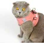 Petköy Kedi Tasması Göğüs Tasma Seti Yumuşak Süet Pudra Renk