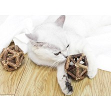 Hwei Catnip ile Rolling Ahşap Top Interaktif Eğlenceli Kedi Oyuncak (Yurt Dışından)