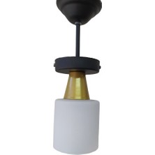 Riolight  Retro Rustik Opal Camlı Tekli Sarkıt Avize