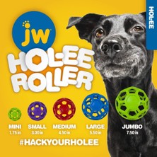 JW Hol-Ee Roller Köpek Oyun Topu (Mini)